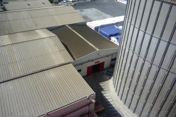 Alicorp